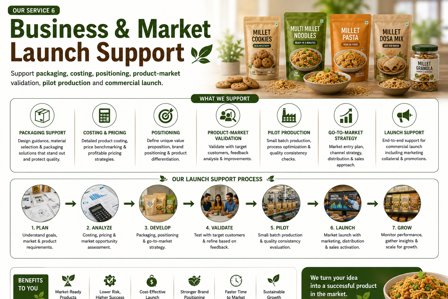 Business and Market Launch Support